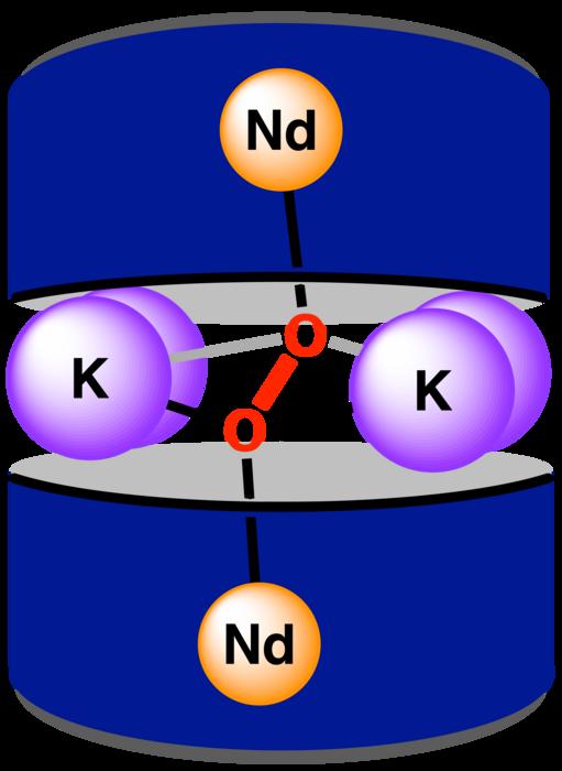 octacoordinate ligand environment