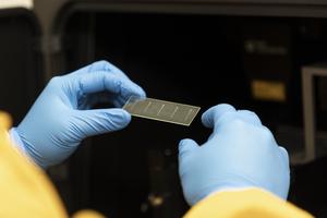 Miniature blood vessels 3D printed onto glass. Each tiny line represents a blood vessel.