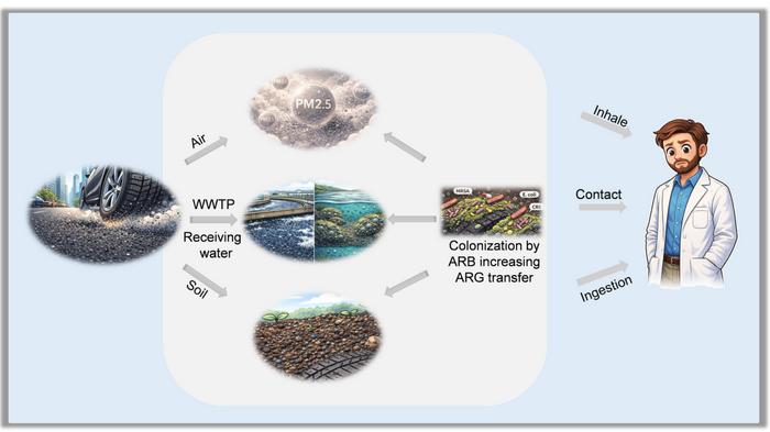 Tire microplastics amplify the risk of antibiotic resistance genes in the environment