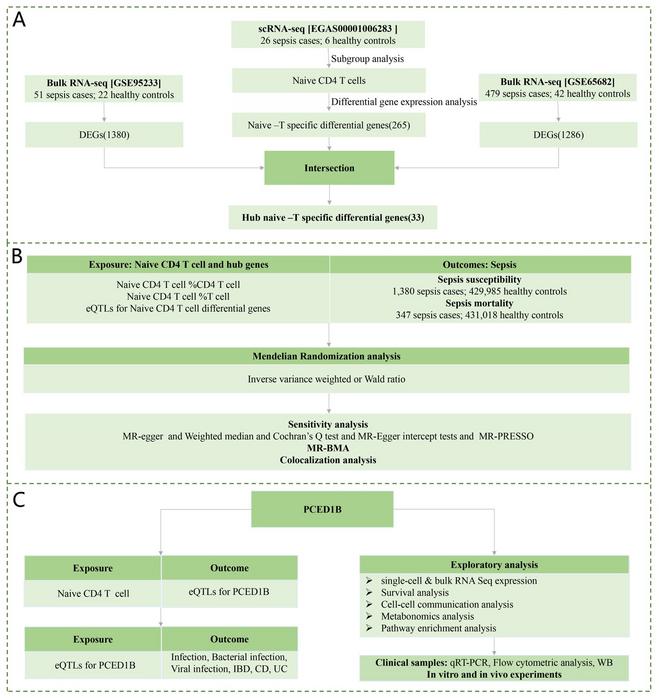 Analysis approach of this study