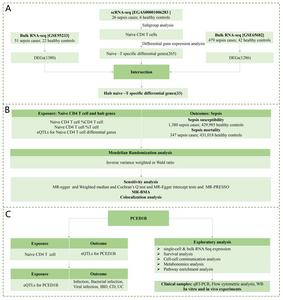 Analysis approach of this study