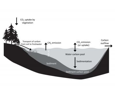 Introducing Freshwater Sources to the Carbon Cycle