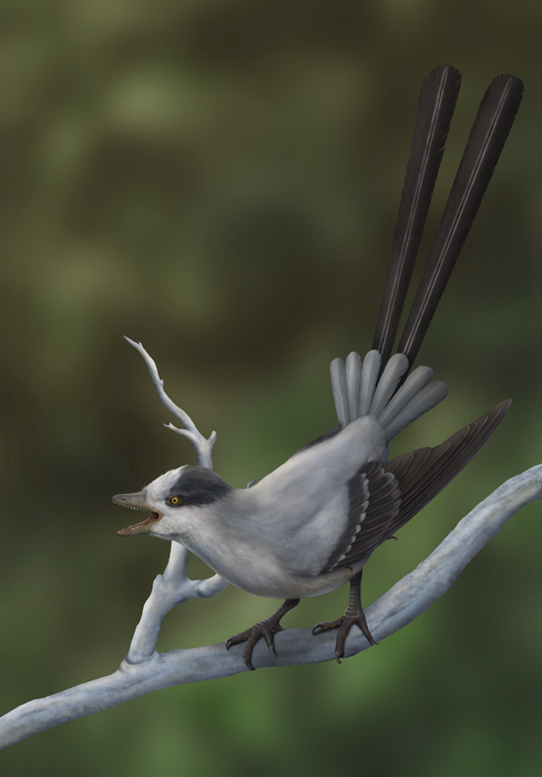Life reconstruction
