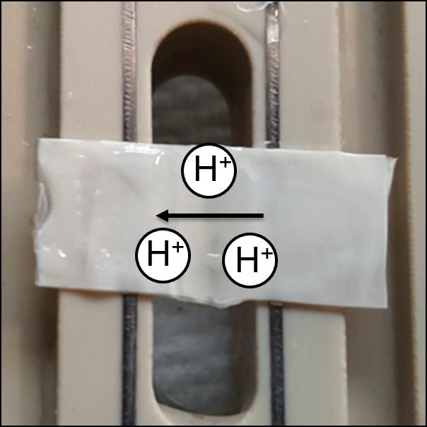 Proton Conduction