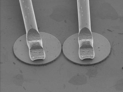 Paradox Laser -- Microscope Image