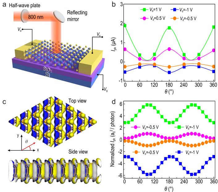 Polarization-sensitive photoresponse of the &beta;-InSe FET.