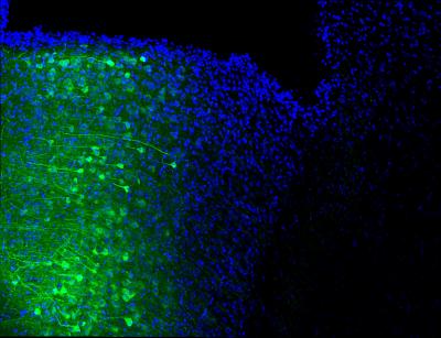 Science Image