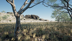 Red Lily Lagoon Pleistocene (Ice age) 2