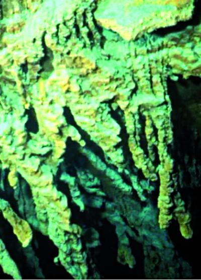 Hidden Microscopic Life Aboard Titanic