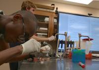Boca Raton Community High School students prep samples to send to the DOE Joint Genome Institute