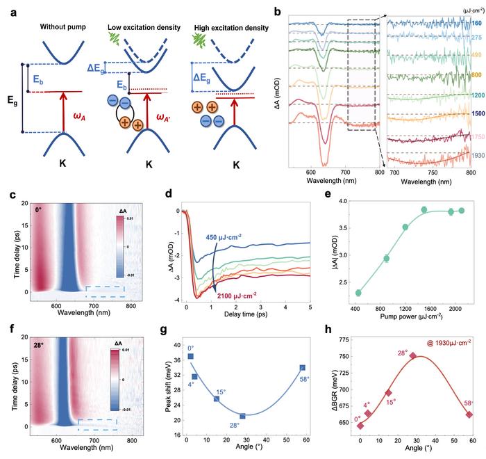 Twist-angle-dependent bandgap renormalization in bilayer WS2