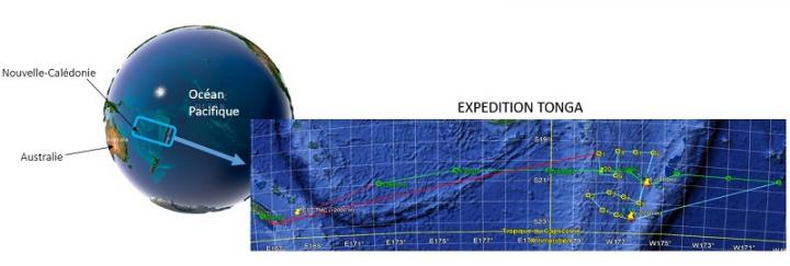 Fig. 1