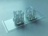 Bio-Chip