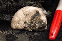 Core Sample