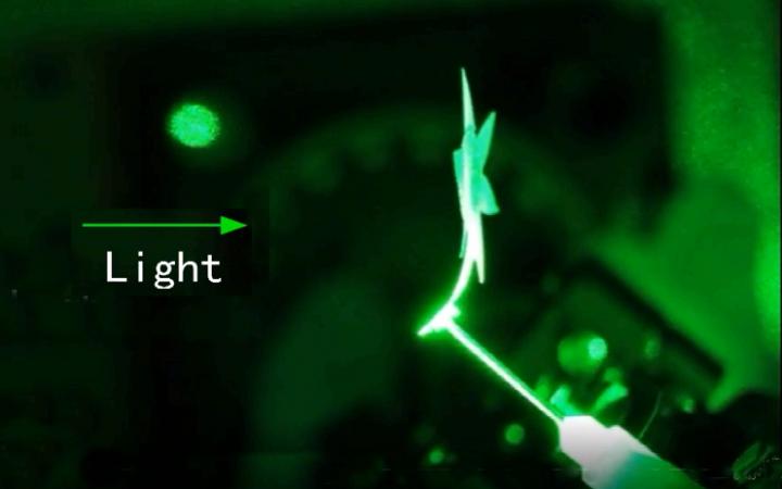 Photonic sunflower