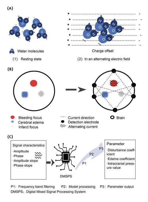 Principles of Bioelectrical Impedance Technology