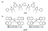 Fig 1. (a) Fluorescent foldamer receptor (host) and (b) chiral ion pairs