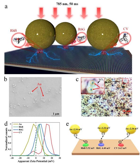 Basic structure and working mechanism of SM-SERS substrate