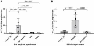 Genetic characteristics of blastic plasmacytoid dendritic cell neoplasm: A single institution experience