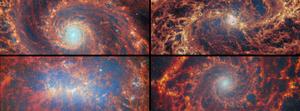 Nearby star-forming FEAST galaxies