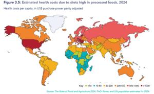 Obesity Raise Colorectal Cancer Risk|BGI Insight