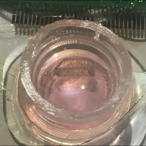Biohybrid mesh
