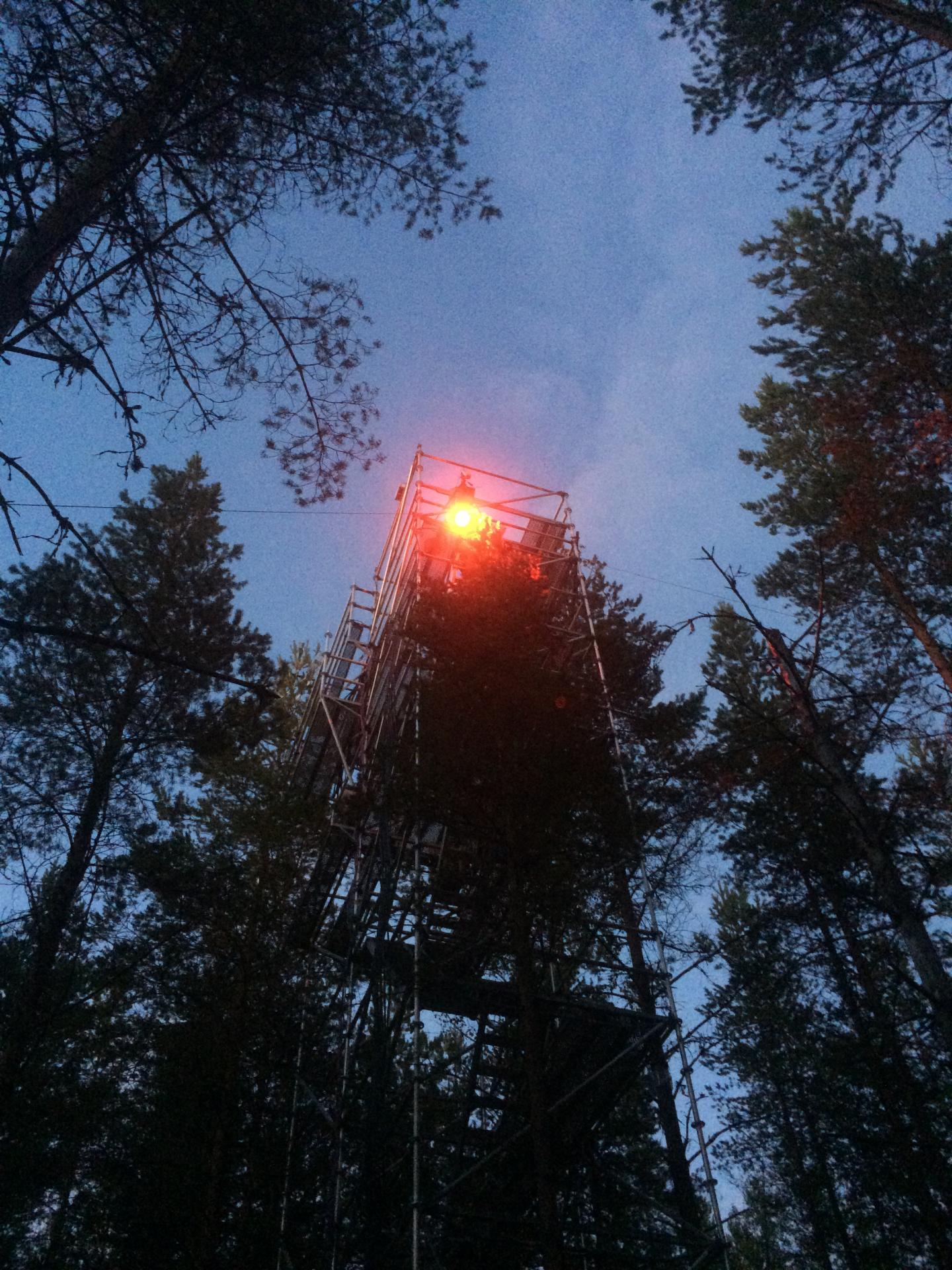 Research structure at Hyytiälä, Finland