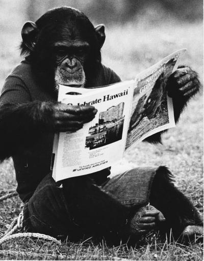 Nim Chimpsky