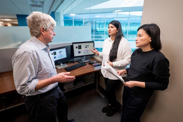 Research explains how nucleolus sub-compartments drive ribosome assembly