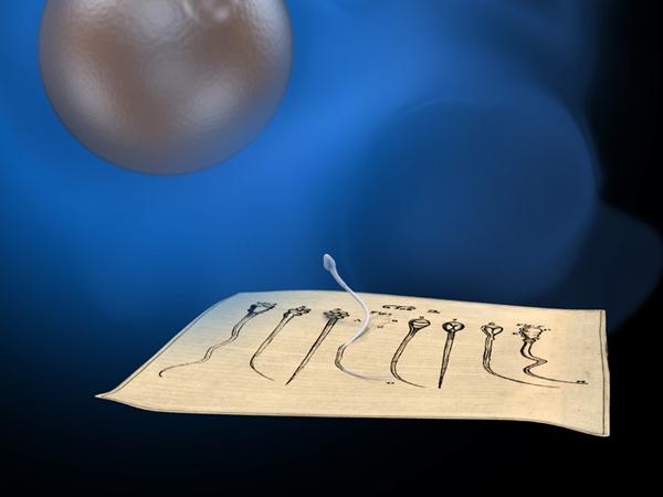 Egg and Photo Illustration