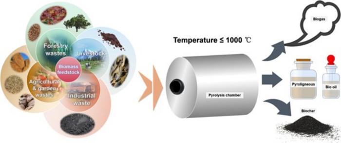 Modified biochar: synthesis and mechanism for removal of environmental heavy metals