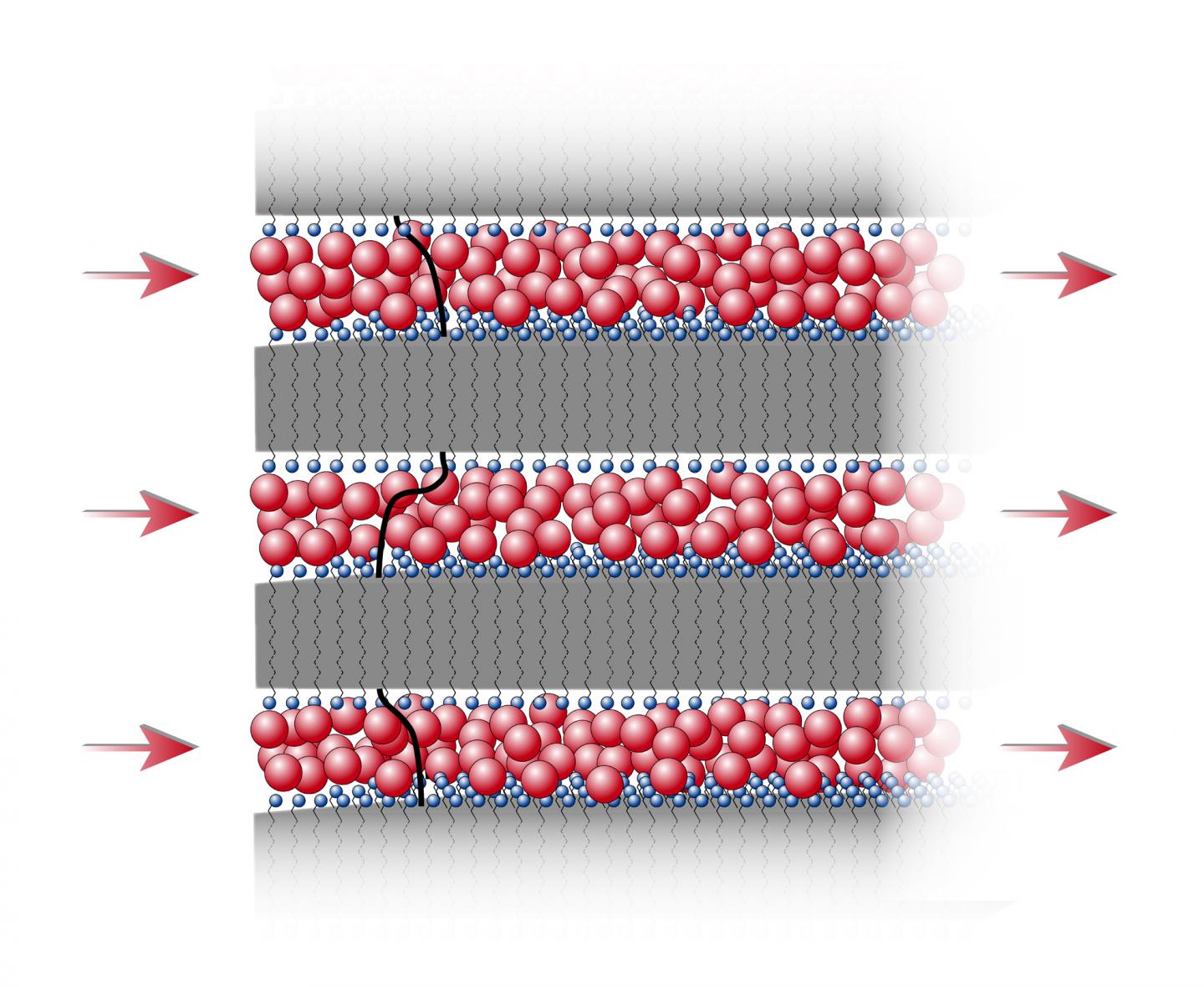Layered Structure