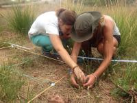 Fieldwork