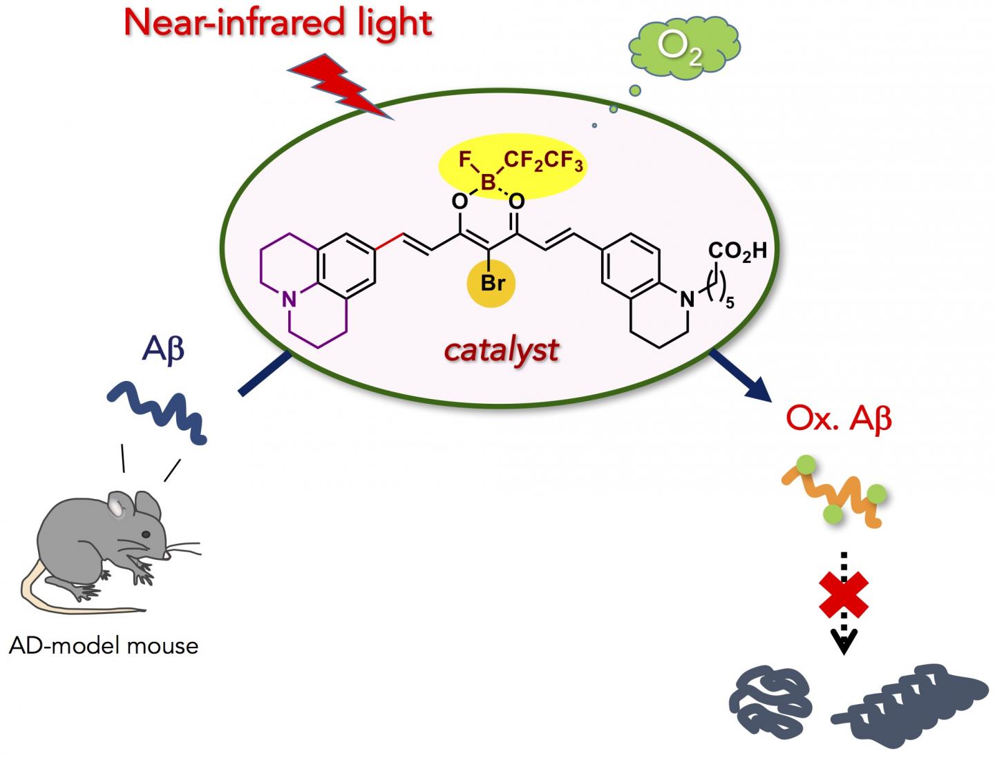 Catalysis Medicine