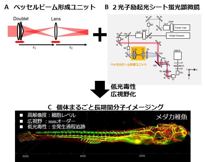 The outline of this research