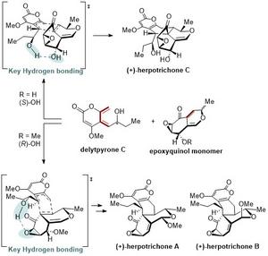 Anti-Neuroinflammatory Natural Products from Isopod-Related Fungus Now Accessible via Chemical Synthesis​