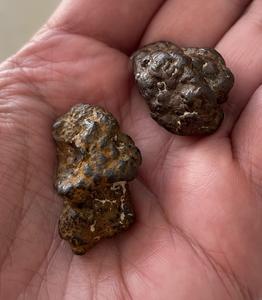 Fig 4: Iron(III) oxide concretions found at a beach.
