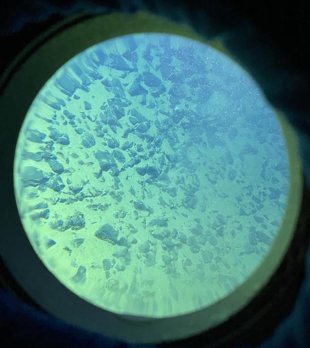 Mariana Trench slope