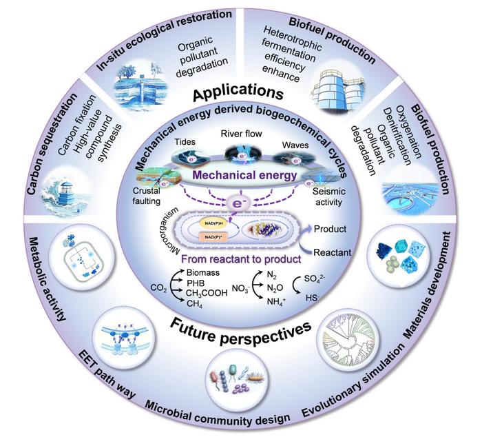 The hidden mechanistic hand: the mechanical force that drives global biogeochemical cycles
