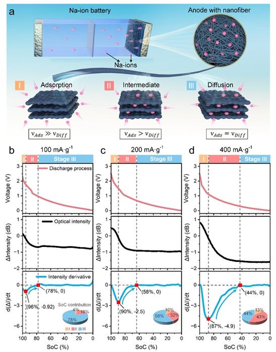 Figure 2 | Operando decoupling of dynamic ion processes during battery operation.