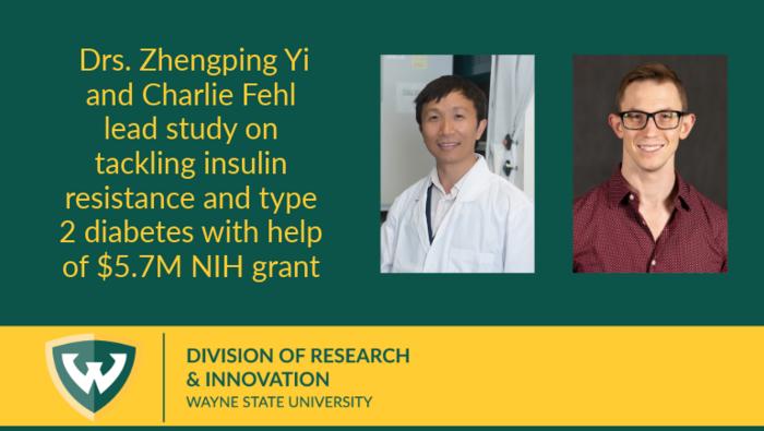 Wayne State researchers lead $5.7 million NIH study tackling insulin resistance and type 2 diabetes