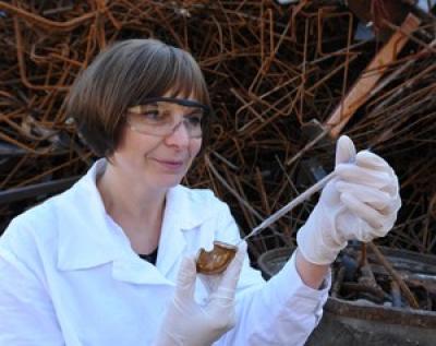 Iwona Flis-Kabulska, 	Institute of Physical Chemistry of the Polish Academy of Sciences 