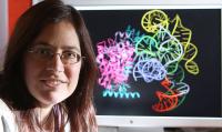 Barbara Golden, Purdue University