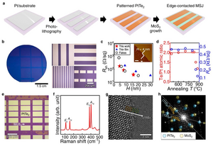 Figure 2. Wafer-scale growth of PtTe2 patterns for synthetic edge contact arrays.