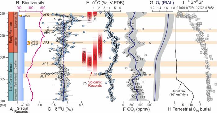 Geochemical, geologic, and biotic records for the late Carboniferous to early Permian, showing repeated occurrences of anoxic events (AE1–5)