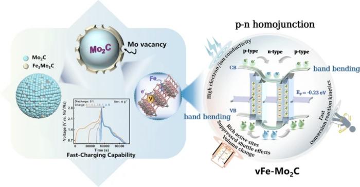 Pisiform Homojunction with Energy Band Bending Induced via Co‑Implantation Design Enabling Fast‑Charging Sodium‑Sulfur Battery