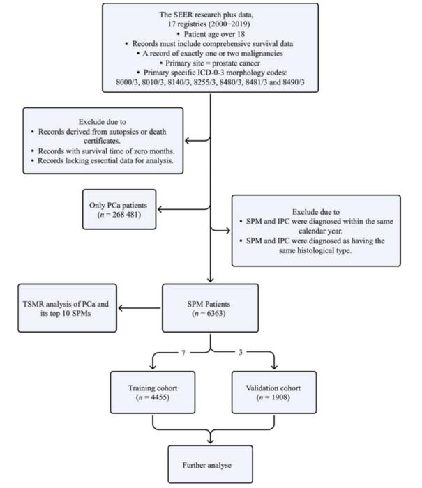 Schematic representation of the study workflow.