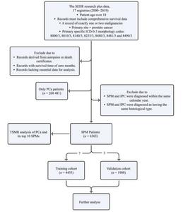 Schematic representation of the study workflow.