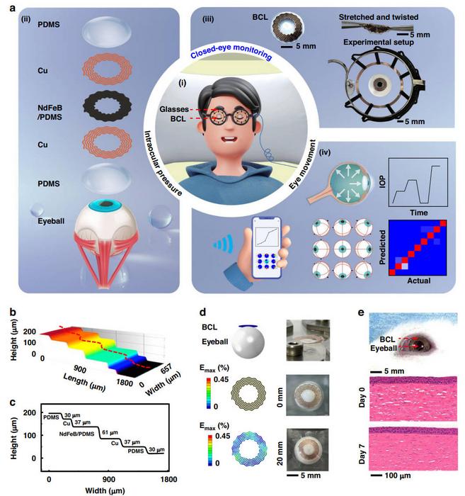 Design and characterization of the stretchable BCL.