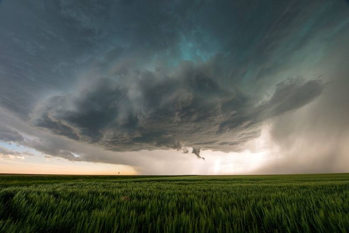 A Day and Night Difference: Molecular Composition of Aerosols Differs from Day to Night